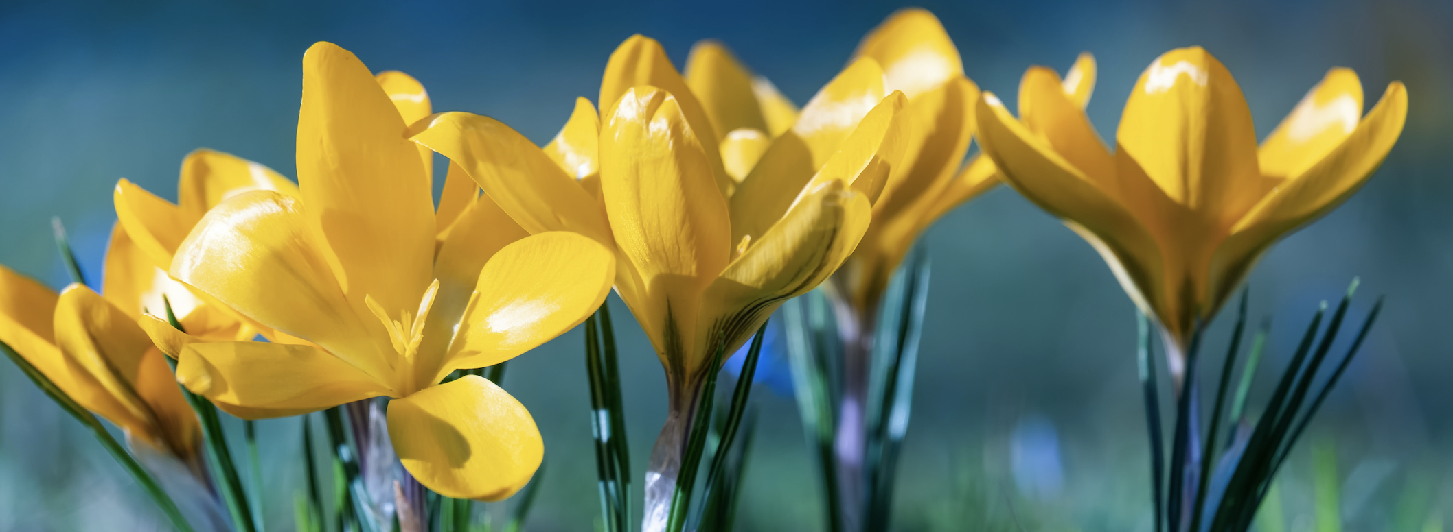 Screen Shot 2021-03-31 at 5.44.06 PM