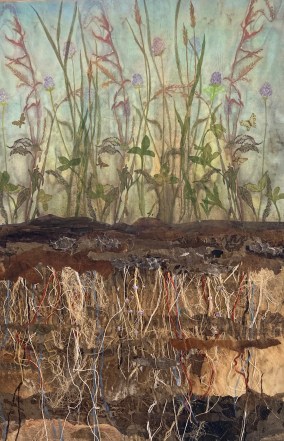 life above and below